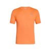 ARANCIO NETTARINA