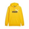YELLOW SIZZLE