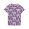 GRAPE MIST/AOP
